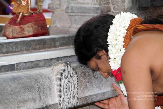 20130430 IMG 9565 CMP WM.jpg