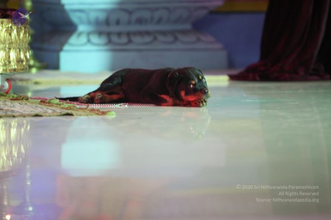 20130501 Photo 1039 1z3l9Hnf-NovK5UerIBLIsLzEIyr0s S-.JPG