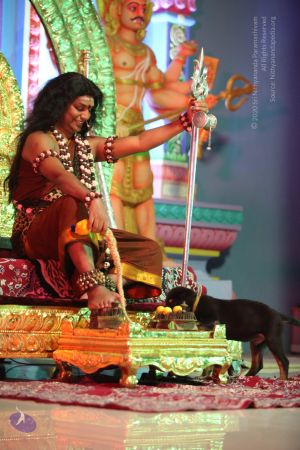 20130501 Photo 1117 18o2-44pEZqhb7OR6cglpn3pWWoErtKg6.JPG