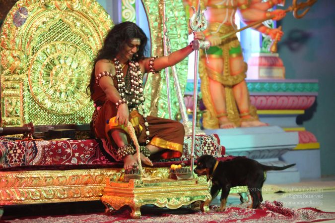 20130501 Photo 1122 1NZ4p5u7eBr1va4aDXLI4b8352LceZMHu.JPG