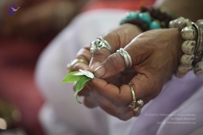 20130507 Photo 1052 1g7QHg4O-j5LhwAaWcoX21WCBQRCb7zNP.JPG