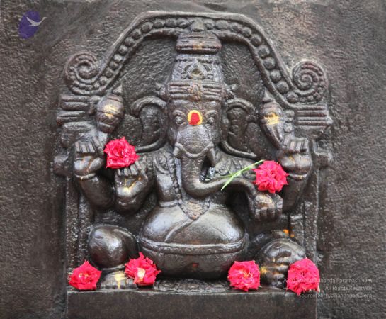 20130512 Photo 1003 1ZW-gD7pOisQ2iw9eNnxfp2caj74jKhgZ.JPG