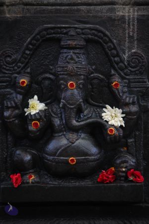 20130513 Photo 1009 1g8RDbNLId2CLiNek-169kut7cQC-rc4n.JPG