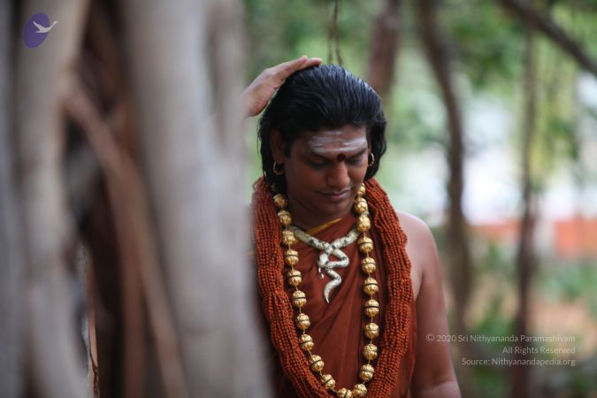 20130513 Photo 1044 1 jS3jyFnMopqWfAQUzycbSfzH1qfUy-o.JPG