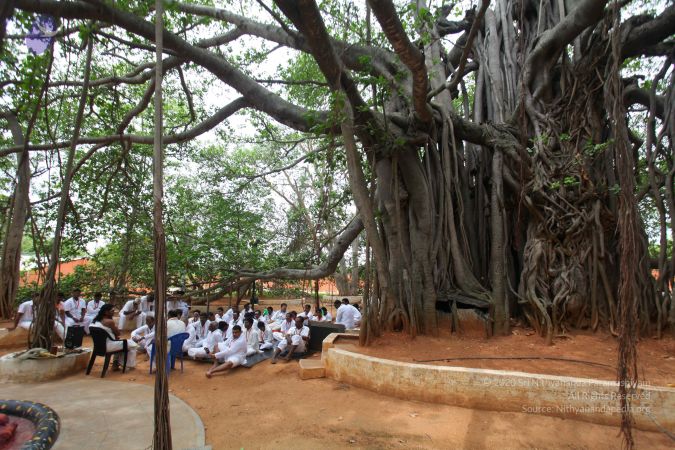 20130513 Photo 1194 1kiPF4B7U1l6MB6eAdCBAVdGE1ugj0UQQ.JPG