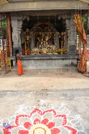 20130513 Photo 1288 1dG2RLmf2XG-ardTj-5FB-0LNCqHoym1x.JPG