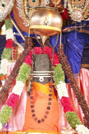 20130514 Photo 1001 1b1NaTIPTqZZTzlc0JRPFM0xQwruz2qX-.JPG