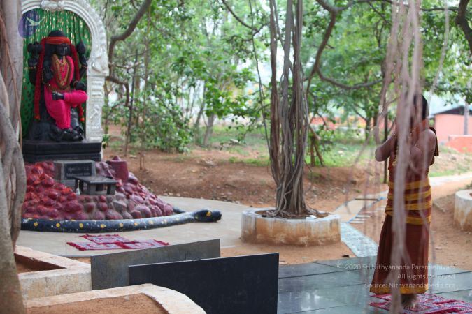 20130514 Photo 1036 1XUZgekiqWp8DIFDU1sB9mLdTzKp VJ1N.JPG