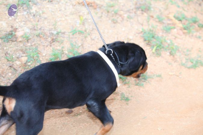 20130514 Photo 1043 1p8OpDb47Nys2CDE6crtwOsA4yXtZlZez.JPG