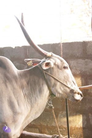 20130514 Photo 1176 1cGhT3z0P9kGf3jeUK M1htmftk8gPH1r.JPG