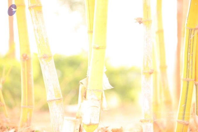 20130514 Photo 1190 1ePERmajZjAAJzD2StAiceX-DfwBdVzFK.JPG