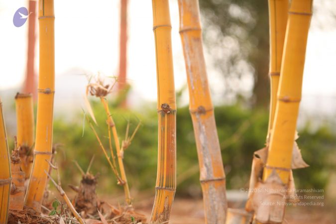 20130514 Photo 1192 14HgCTYOABbEGOfDPqvW-BelX5g-LnW95.JPG