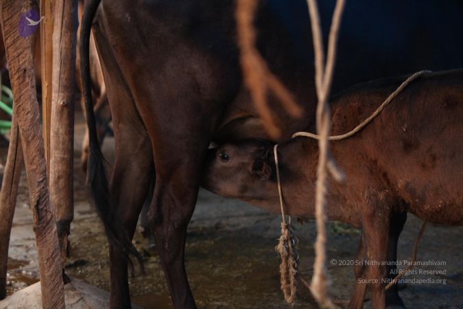 20130514 Photo 1219 1qa4t5gkYRut9fnIt1T01n5M10qSNpvdZ.JPG