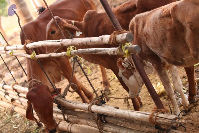 20130514 Photo 1222 1rMnTyxaSX4gOtwhd2bP7vT2Ga3AfR-Wh.JPG