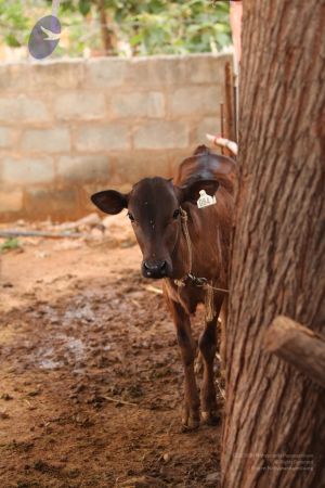 20130514 Photo 1223 1MKAhF6jFcPIwucPTE7LJMZzC-2thHKXj.JPG