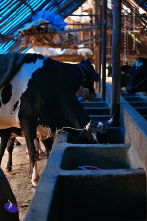 20130514 Photo 1407 1ArdTr-TUGoNFVwD6SmxtMEfAjDyEX8 Q.JPG