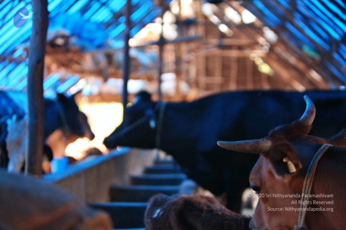 20130514 Photo 1410 1yLKzpOeG3o3DjG3mQ0Nkk pG-v7KnCLZ.JPG