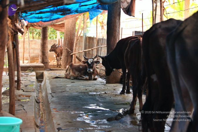 20130514 Photo 1431 1R4ldW8nB7M4EYk2bQfgRB0XwAjZJeQPU.JPG