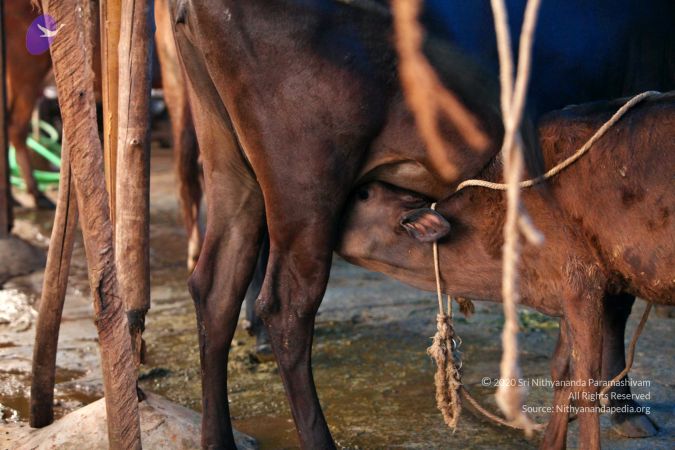 20130514 Photo 1434 1NMFbVZgw5l Jc-PxeJ7YMe8c8-nbdp5H.JPG