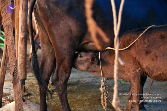 20130514 Photo 1435 1x34K EnN6ztb7y7wWirINvFPSJLZgbfY.JPG