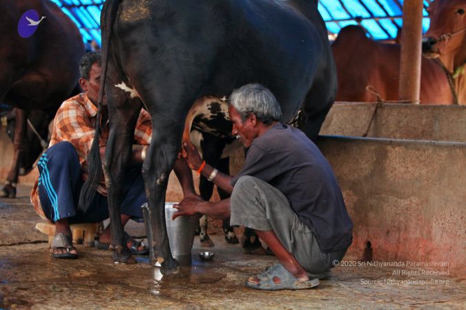 20130514 Photo 1446 13QpqjeGMbKlIIV5izkkmYQ8BQDafT Sh.JPG