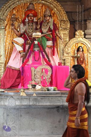 20130515 Photo 1001 1-64rI3nXp5KrRxUguRd6a1vY8GXnKeyC.JPG