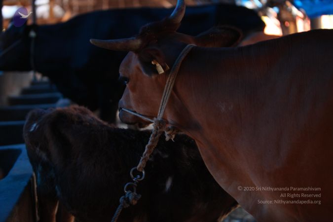 20130518 Photo 1035 1oXLHU2o9LxrnG5CCrZXvw0i3l7fSJdha.JPG