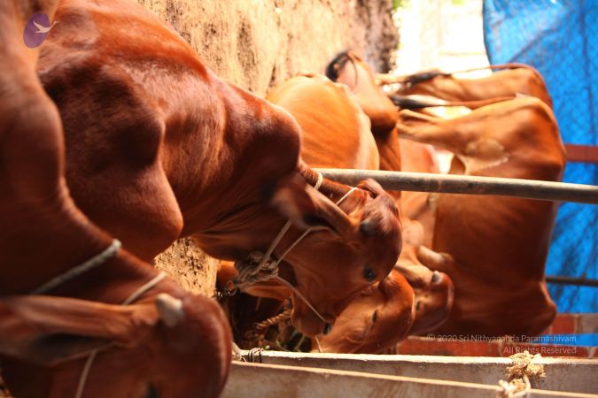 20130518 Photo 1038 1 bo1USuc3paoahkY24OAAXwxrqU5jFgU.JPG