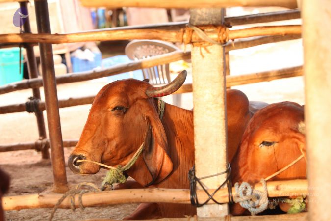 20130518 Photo 1046 1anF sZRwtWh9au-VhckPtj8UYJsQTcuG.JPG