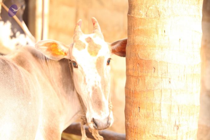 20130518 Photo 1049 1Puku2McnNhZd R3A8zJD1blDvmEjkdNP.JPG