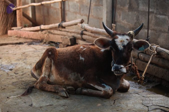 20130518 Photo 1055 1La9FLN xTThuA0ijZ6qY6jBQFonrzBNE.JPG