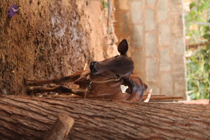 20130518 Photo 1062 19CIFaEHmxyNwdHE4pA9FnhdLKO0eLiON.JPG