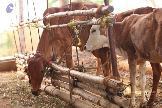 20130518 Photo 1063 1XS7mNP24yRmfb5m8AfN8Q1EjZsmi4eyI.JPG