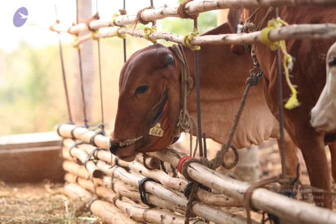 20130518 Photo 1065 1xulwUpLVkt4XoMPD2a27glpqTh2vJdIf.JPG