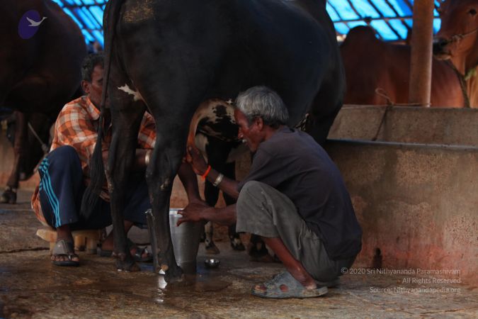 20130518 Photo 1069 1IsHYw0rbpc2EJ1ALqZJlpJV0iJPJ6M2r.JPG