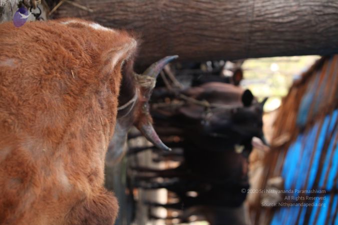 20130518 Photo 1071 1- yOGYk31wj6gB0xXqaR6xG3X4DimsXk.JPG