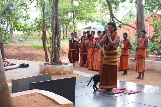 20130518 Photo 1076 1xQTpreNPpPvuotb0hEGScboN j2ThMxQ.JPG