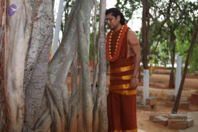 20130519 Photo 1178 1U09-nxzpIa5bx7P8x01rTkvIXu cqaS-.JPG