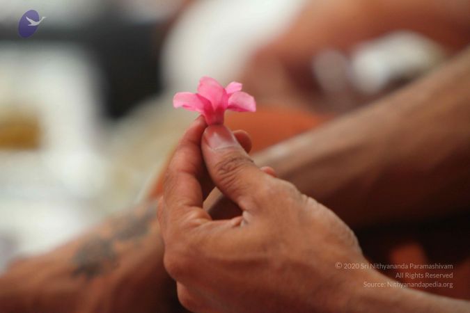 20130520 Photo 1222 1mB5oms9vfp3q6nMPJa0GT9vjgrPrKLdi.JPG