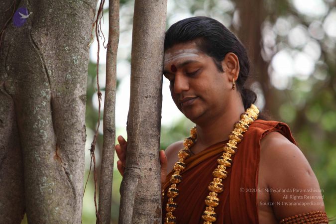 20130524 Photo 1028 1uKz6lPECs6wY6JCJqjLpkNV-gBikVP4b.JPG