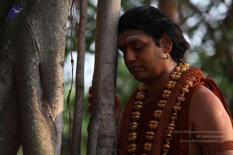 File:20130525 Photo 1133 1L1eigY0OeTwAhxRuI- 1Uoffz8WP5oa1.JPG