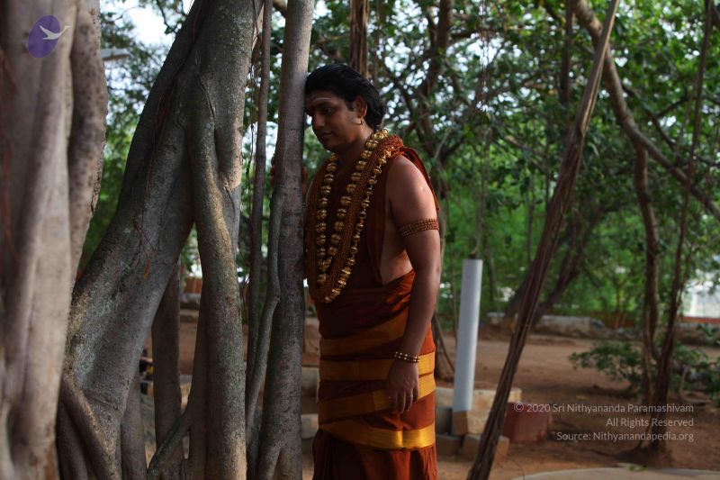 File:20130525 Photo 1134 1EQs bQXP-rjIHilfvt85ATfuNBOu8jjB.JPG