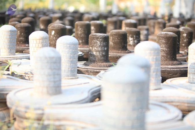 20130526 Photo 1162 1suRep0k1Cj6zGq LIrDNPC N2M4nqKO3.JPG