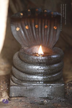 20130602 Photo 1015 1-qeZFJGs pwLYx9GvIgVJmAzzsN2B uB.JPG