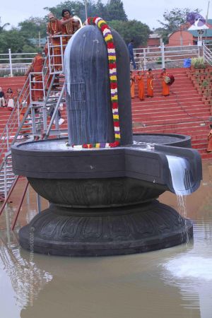 20130603 Photo 1004 1L0aDto9eRy1zQK8cCZb4Y91avbTJfmWI.JPG