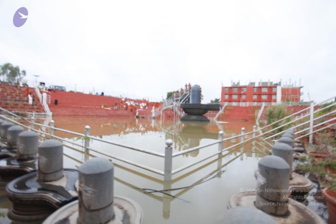 20130603 Photo 1115 1bO3eRbEArwPreyPGnXVtGgCRXgS8T LD.JPG