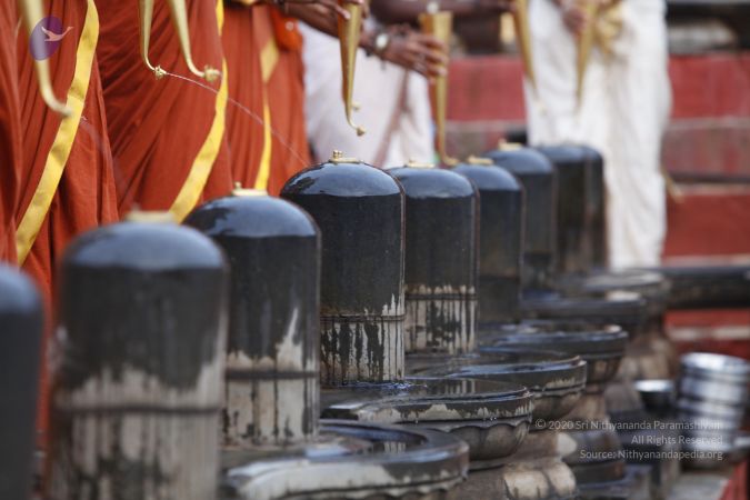 20130603 Photo 1147 1fVzSpkWFcKLukxO4wJpqmI7VEKZf2Rk .JPG