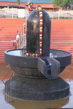 20130604 Photo 1020 1QOsyhl3kgoCNpvCPbritFkAzCaYkz9v2.JPG