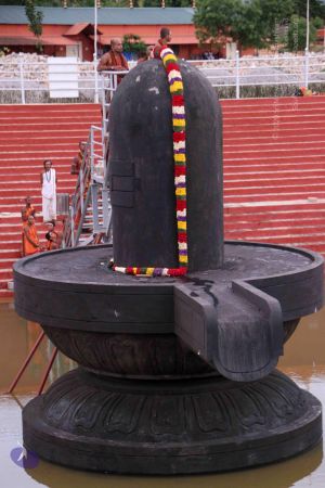 20130604 Photo 1027 1yal07IZbfWgsTiTCDCx4zrcawboVpvP6.JPG