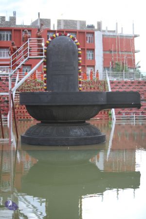 20130604 Photo 1071 1Efj09PCUvS58BXZu0dEpTeGwxbvRV0f-.JPG